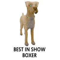 Best In Show Boxer