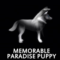 Memorable Paradise Puppy