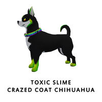 Toxic Slime Crazed Coat Chihuahua