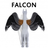 Falcon