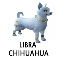 Libra Chihuahua