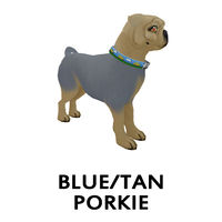 Blue/Tan Porkie