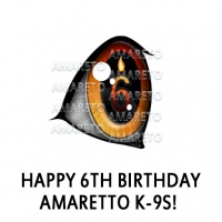 Happy 6th Birthday Amaretto K-9s! Eye