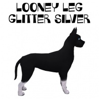 Looney Leg Glitter Silver