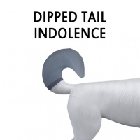 Dipped Tail Indolence