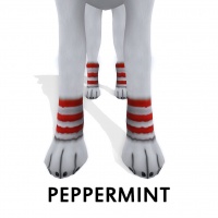 Paw Warmer Peppermint