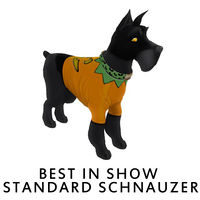 Best in Show Standard Schnauzer