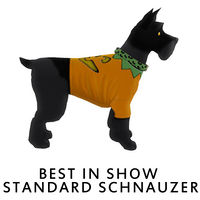 Best in Show Standard Schnauzer