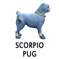 Scorpio Pug