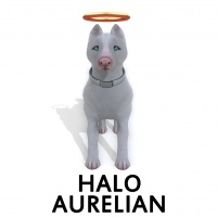 Halo Aurelian