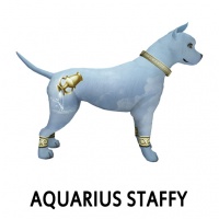 Aquarius Staffy