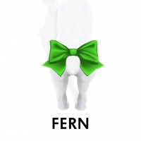 Fern