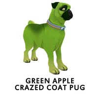 Green Apple Crazed Coat Pug