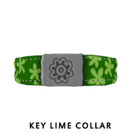 Key Lime Collar