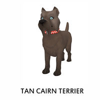 Tan Cairn Terrier