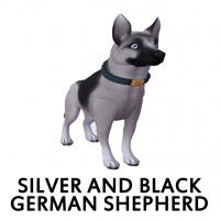 Silver and Black German Shepherd