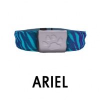 Ariel Collar