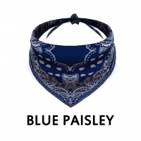 Blue Paisley