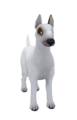 EnglishBullTerrierStandardChocolate.png