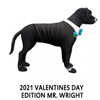 2021 Valentines Day Edition – Mr. Wright