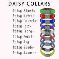 Daisy Collars