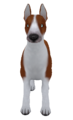 EnglishBullTerrierColoredRed.png