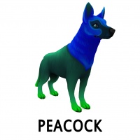 Peacock