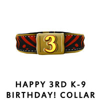 Happy 3rd K-9 Birthday! Collar