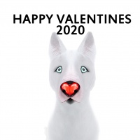 Happy Valentines 2020