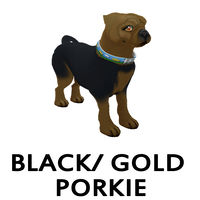 Black/Gold Porkie