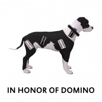 In Honor Of Domino