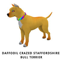 Daffodil Crazed Staffordshire Bull Terrier