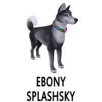 Ebony Splashsky