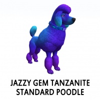 Jazzy Gem - Tanzanite Standard Poodle