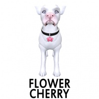 Flower- Cherry