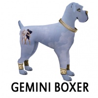 Gemini Boxer