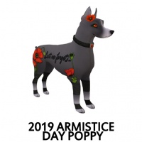 2019 Armistice Day - Poppy