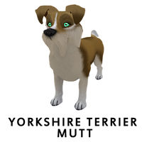 Yorkshire Terrier Mutt