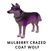 Mulberry Crazed Coat Wolf