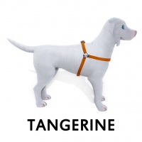 Tangerine