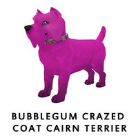 Bubblegum Crazed Coat Cairn Terrier