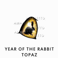 Year of the Rabbit - Topaz