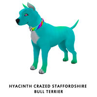 Hyacinth Crazed Staffordshire Bull Terrier