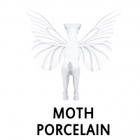 Moth Porcelain