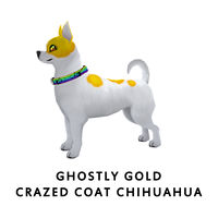 Ghostly Gold Crazed Coat Chihuahua