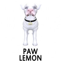 Paw- Lemon