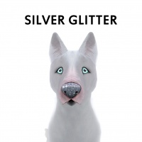 Silver Glitter