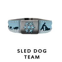 Sled Dog Team