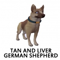 Tan and Liver German Shepherd