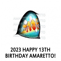 2023 Happy 13th Birthday Amaretto! Eye